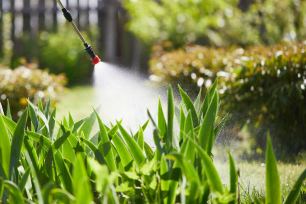 24/7 Emergency Mosquito Control experts in Findlay, OH